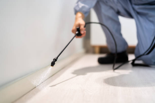 Licensed Termite Control service in Kentfield, CA - Nex Pest Control
