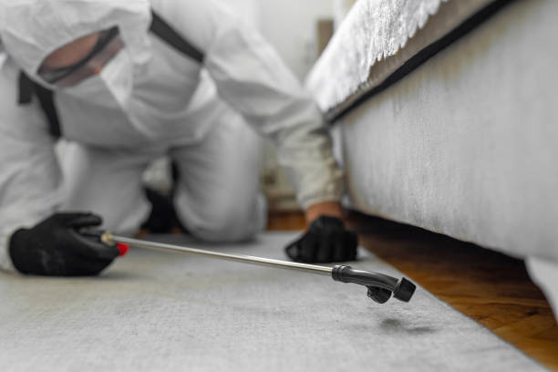 Professional Termite Control technician working in Kentfield, CA