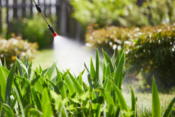 24/7 Emergency Termite Control experts in Kentfield, CA