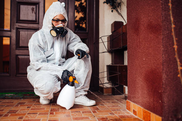 Reliable Termite Control contractor in Kentfield, CA by Nex Pest Control